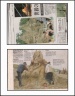 Resize of Image14.jpg